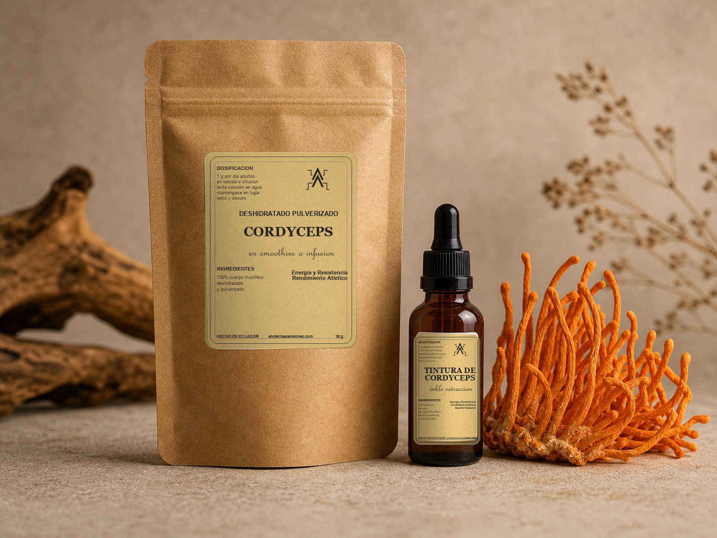 Kit de cordyceps Ancient Ascension EC con gotero de tintura de 30 ml y bolsa de deshidratado pulverizado de 30 g