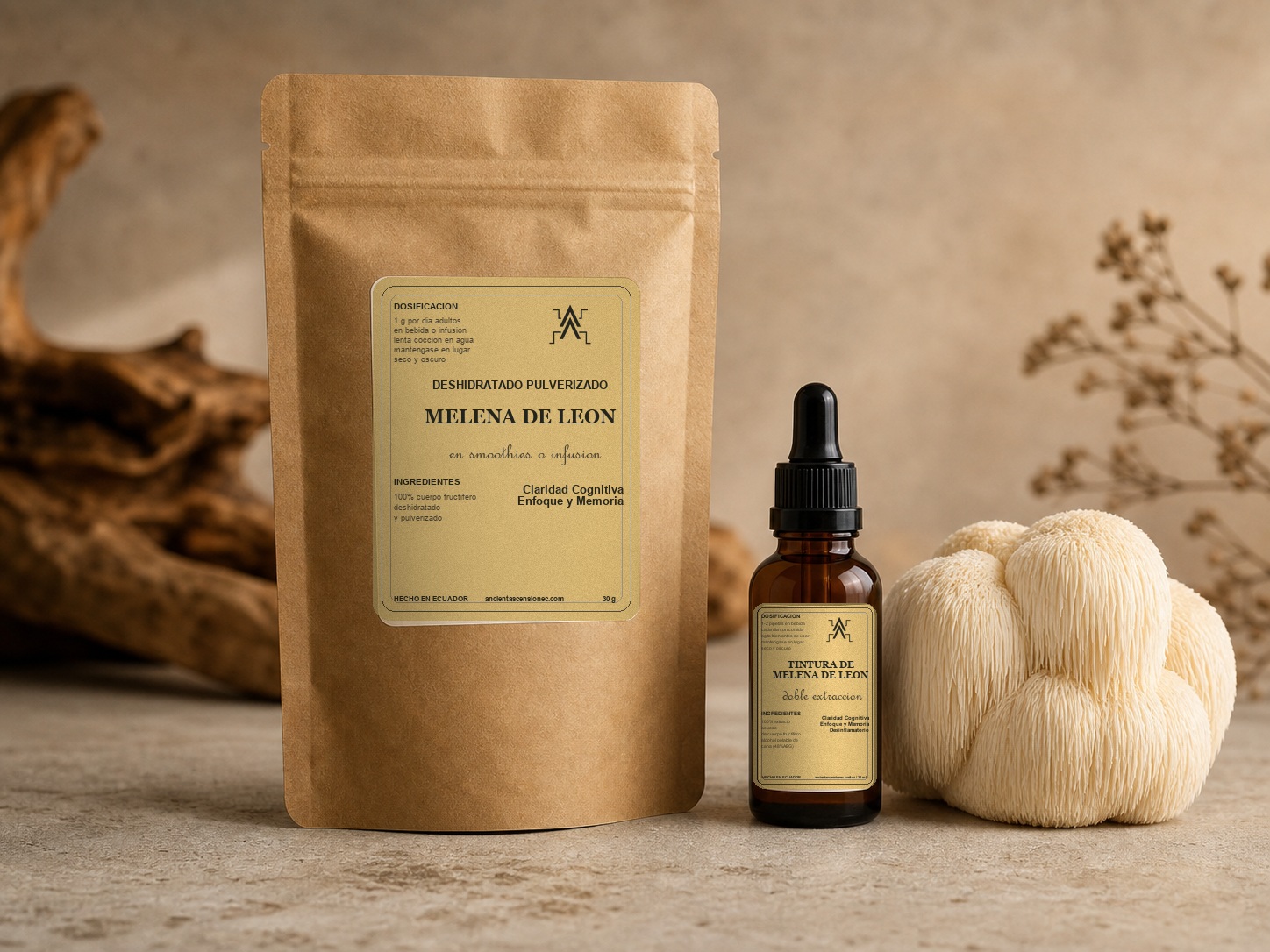 Kit de melena de león Ancient Ascension EC con gotero de tintura de 30 ml y bolsa de deshidratado pulverizado de 30 g