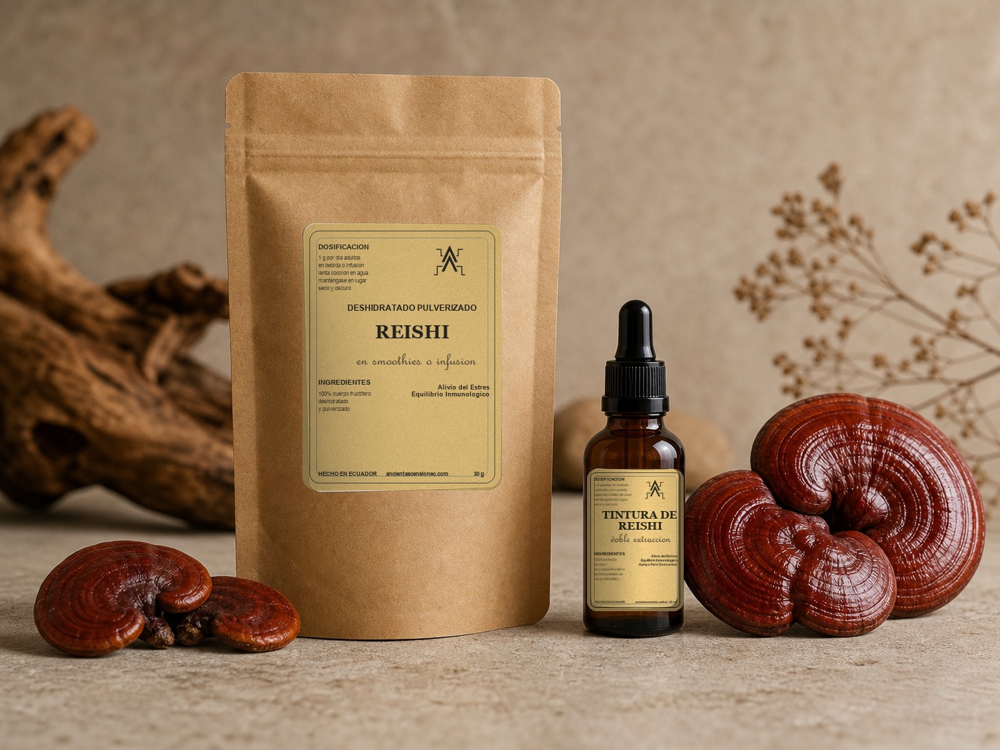 Kit de ganoderma reishi Ancient Ascension EC con gotero de tintura de 30 ml y bolsa de deshidratado pulverizado de 30 g