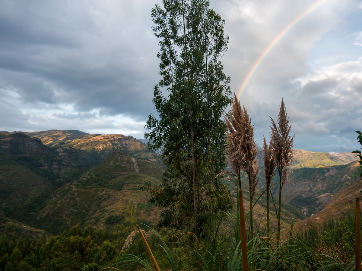 Paisaje rural de Cuenca Ecuador con montañas andinas, vegetación y arcoíris